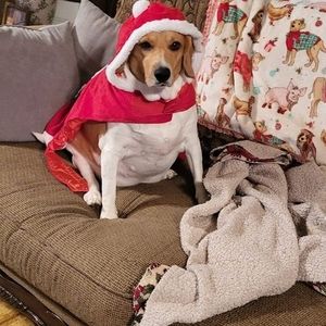 Meet your Posher, Joyce